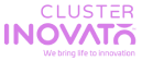 Cluster Inovat